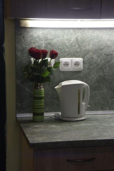 Cosy Warm Apartment In The Heart Of Prague. Εξωτερικό φωτογραφία