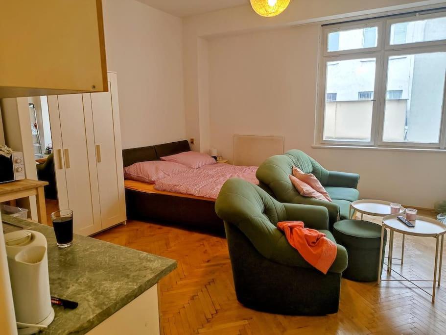 Cosy Warm Apartment In The Heart Of Prague. Εξωτερικό φωτογραφία